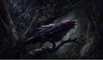 Crows Six Wallpaperaccess Birds Lovely Fantasy Wallpapers