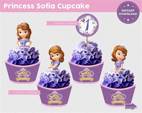 Princess Sofia Themed Cupcake Set Includes 4 Different Types Of Cupcake