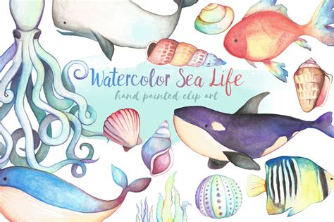 Watercolor Sea Life Clipart Bundle Animal Illustrations ~ Creative Market