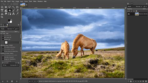 Best Photo Editing Software For Windows 11 Freepaid