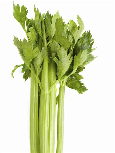 Texas Shuts Down Celery Plant After Five Deadly Listeria