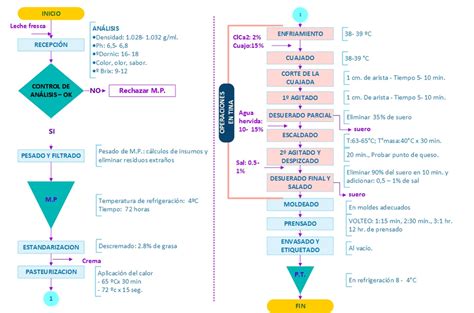 Diagrama De Flujo De Proceso De Elaboración De Queso Fresco Download