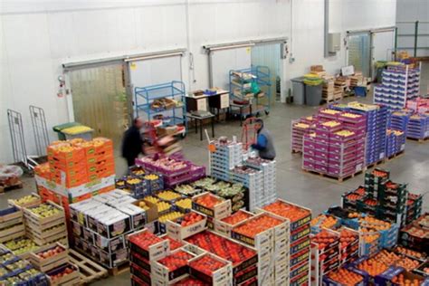 Agro Alimentaire Bonnes Performances Des Exportations En