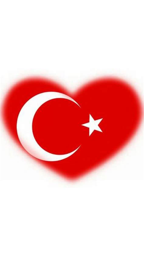 Kalpli Türk Bayrağı Resimleri Bayrak Resim Boyama sayfaları