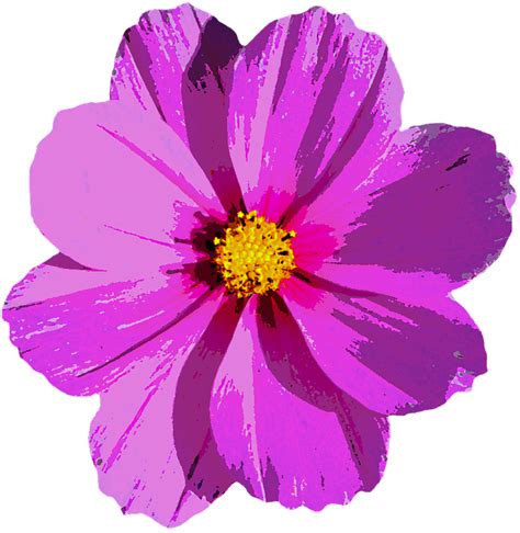 Flor La Naturaleza Planta - Imagen gratis en Pixabay png image