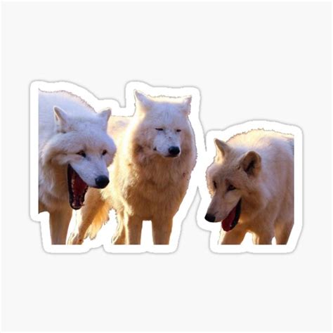 Laughing Wolves Meme Sticker For Sale By Hangloosedraft Redbubble