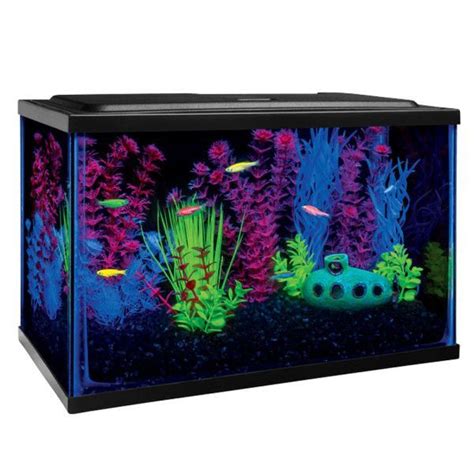 Glo Fish Starter Kit Aquarium Aquariums Petsmart Fish Aquarium