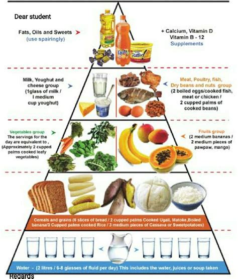 Nutrients Of Food With Diagram Science Components Of Food