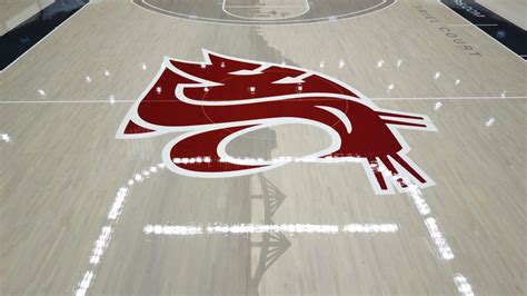 Basketball Court Design You Just Dominated With