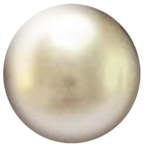 Pearl Flat Png Image Purepng Free Transparent Cc0 Png Image Library