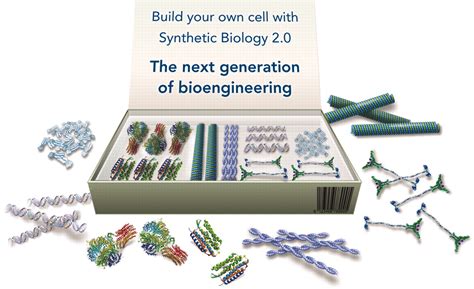 Bottom Up Synthetic Biology Engineering In A Tinkerers World Science