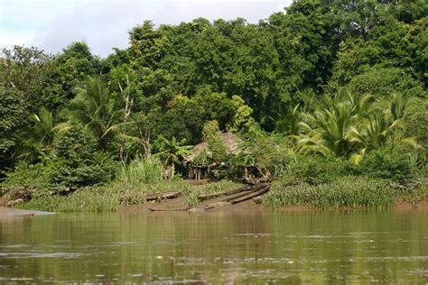 Embera Wounaan Territory Panama Panama 2008 Sensaos Flickr