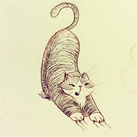 19 Cat Drawings Art Ideas Sketches Design Trends