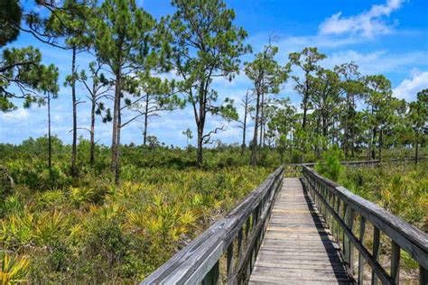 Off The Beaten Path Florida 20 Hidden Gems Revealed By A Local