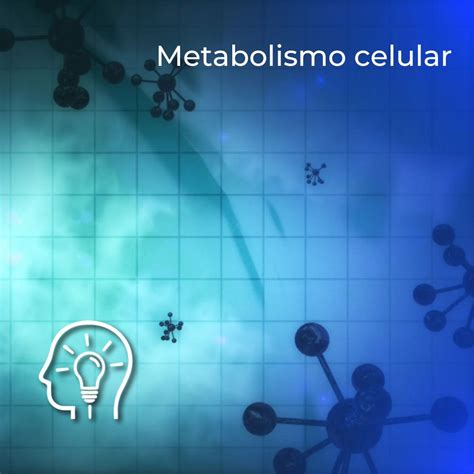 Metabolismo Celular Udgvirtual Formación Integral
