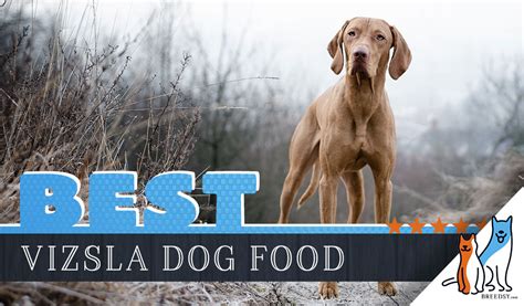 Recommended puppy food by breeds. 6 Best Vizsla Dog Food Plus Top Brands for Puppies ...