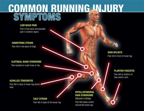 The Power Of Our Core And Glutes When We Run — Brill Physical Therapy