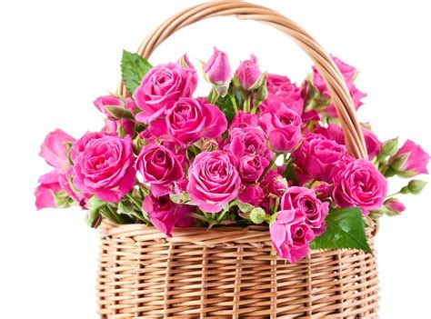 Wallpaper Roses Flowers Lot Basket 2400x1780 Coolwallpapers