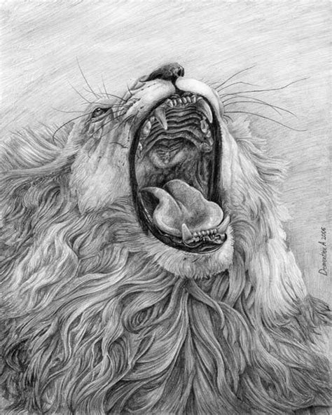 Is a perfect tool for a variety of individuals and professions. 17+ Lion Drawings, Pencil Drawings, Sketches | FreeCreatives