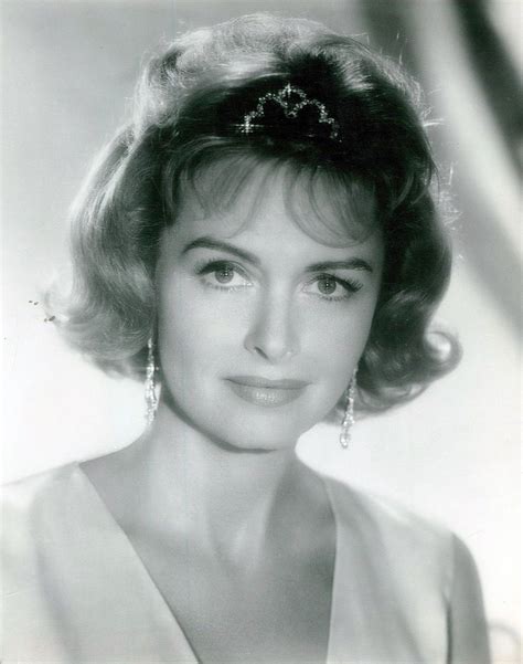 Donna Reed Donna Reed Hollywood The Donna Reed Show
