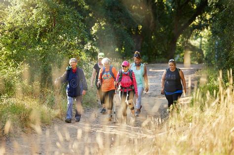 Nature Walking And Senior Group Hiking In Forest For Exercise Health
