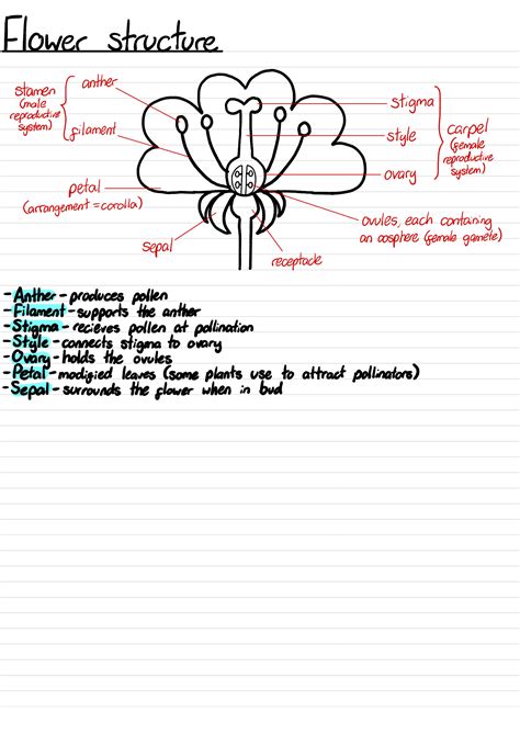 Solution A Level Biology Eduqas Component 2 Sexual Reproduction In