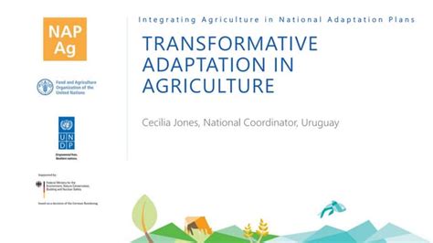 Transformative Adaptation In Agriculture Uruguay Ppt