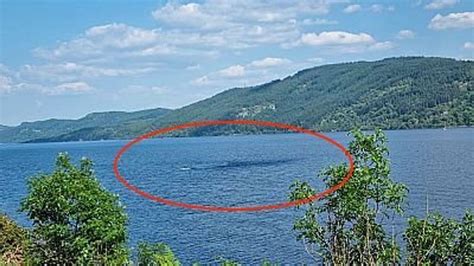 Loch Ness Monster Photographed As Head And Two Humps Emerge From The