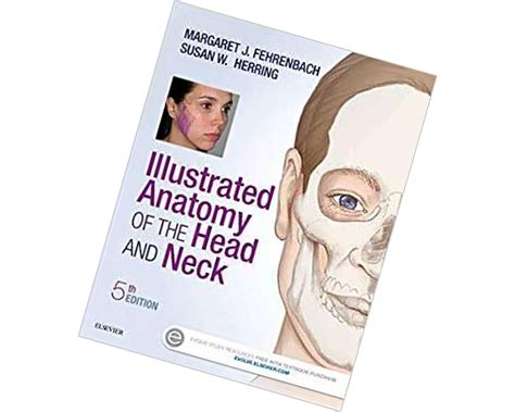 Illustrated Anatomy Of The Head And Neck 5th Edition Etsy