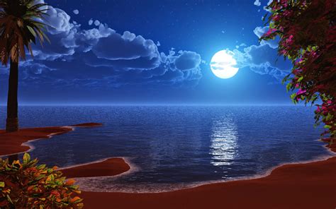 Download Beautiful Moon Night Wallpapers Gallery