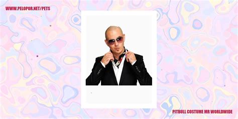 Pitbull Costume Mr Worldwide