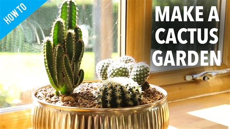 They say that cactus gardens are only for busy people or those who need greenery that has minimal maintenance requirements. How to make a Cactus Garden - YouTube