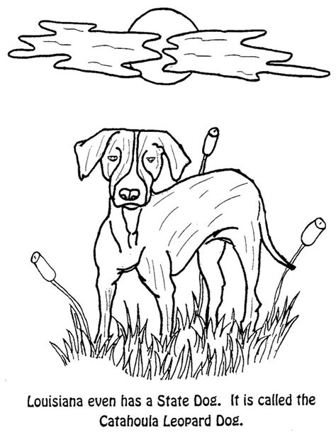 Free louisiana coloring page (coloring sheet). Louisiana Swamp Pages Coloring Pages