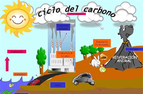 Dióxido De Carbono Características