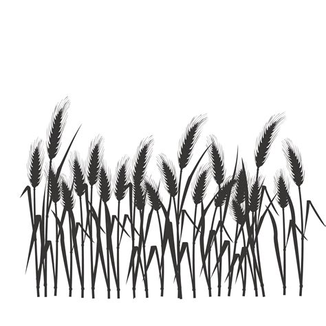 Silhouette Black And White Silhouette Of Wheat Field Png Download