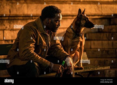 SHAMIER ANDERSON in JOHN WICK: CHAPTER 4 (2023), directed by CHAD