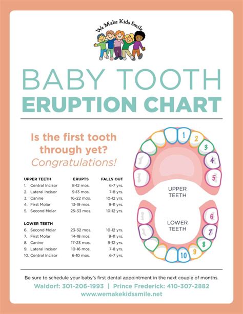 At What Age Do Babies Stop Teething Fredda Madison