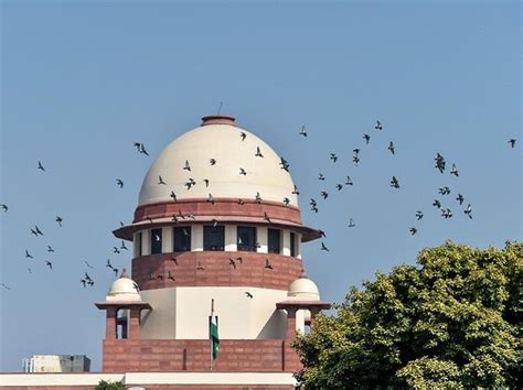 sc refuses urgent listing of plea seeking protection of manipur tribals india news business
