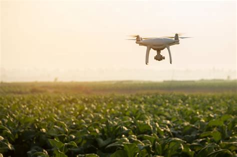 Adaptive Swarm Robotics Could Revolutionize Smart Agriculture Texas A
