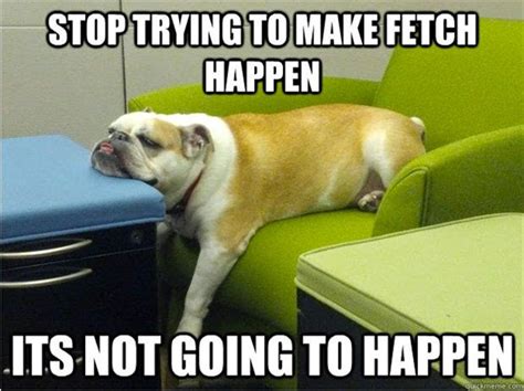stop trying to make fetch happen it s not going to happen boomsbeat