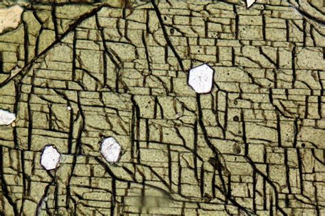 Augite Thin Section