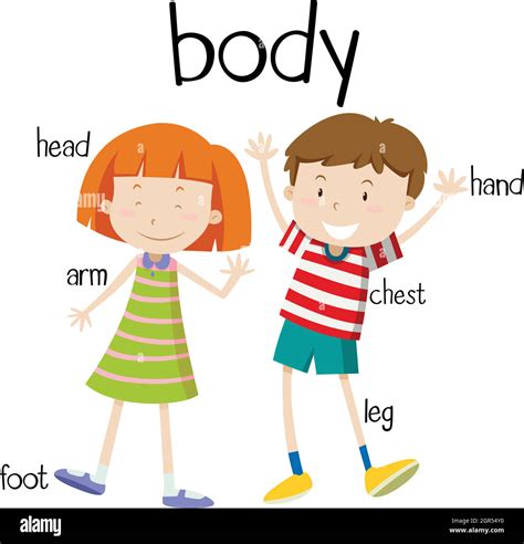 Human Body Parts Diagram Stock Vector Image And Art Alamy