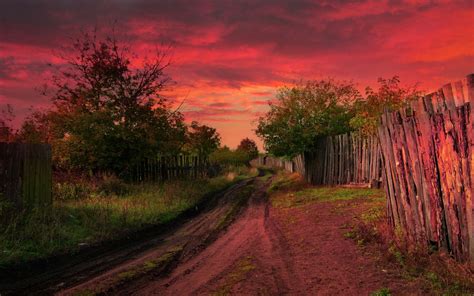 Dirt Road Earth Sky Sunset Tree Wallpaper Resolution1920x1200 Id