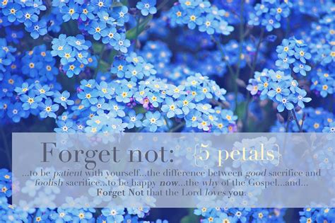 Read or print original remind me to forget lyrics 2020 updated! A Feathered Nest: Forget-Me-Not