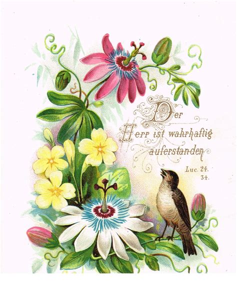 Here are bible verses about life and 12 bible quotes about life to spice up your day. Printable Greeting Tags with Antique Floral Images | Knick ...