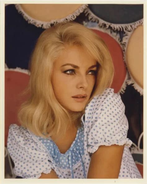 Virna Lisi Striking 1960s Glamour Profile Pin Up Vivid Color Vintage 8x10 Photo 2499 Picclick