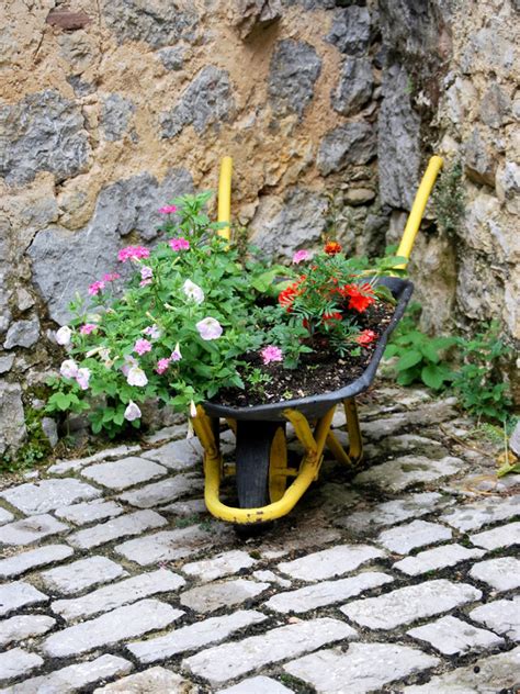 Moving Garden Containers Tips For Planting In Portable