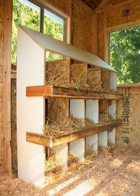 Building A Cozy Chicken Nesting Box In Simple Steps Your Projects