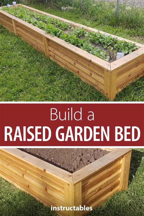 Build A Raised Garden Bed Raised Garden Building A Raised Garden