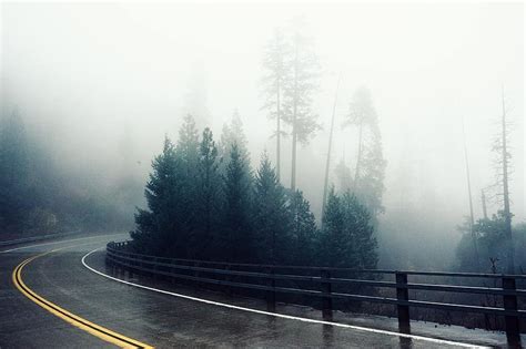 Road Curve Wet Rainy Forest Fog Misty Nature Travel Landscape